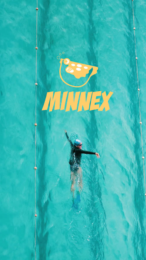 Minnex Store